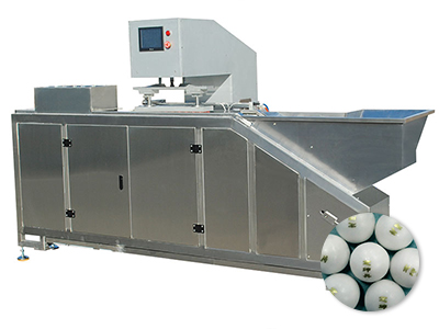 Automatic Wax Shell Printing Machine (for traditional Chinese medicine pills)